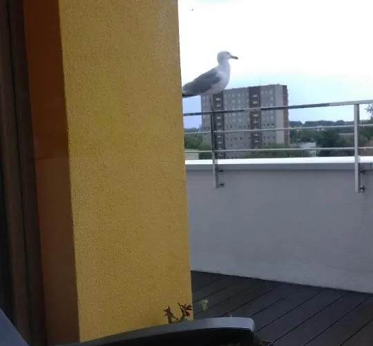 Wyśmienity Apartament Miodowy